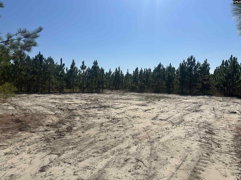 6.8 Acres of Pine Land