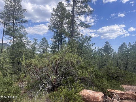 Residential Land in Picturesque Pine