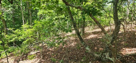 LAND - HOLLADAY, TN
