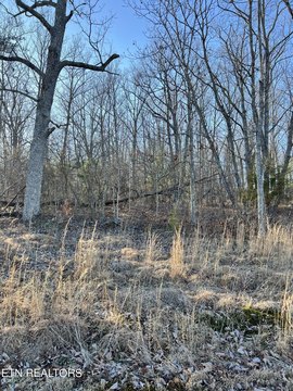 Crossville, TN Wooded Lot