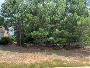 Residential Land in Flowery Branch