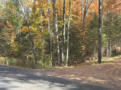 Wooded Recreational Land Tract