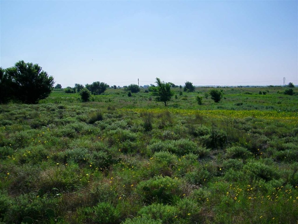 Picture 26
