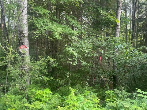 Crandon, WI 3-Acre Land