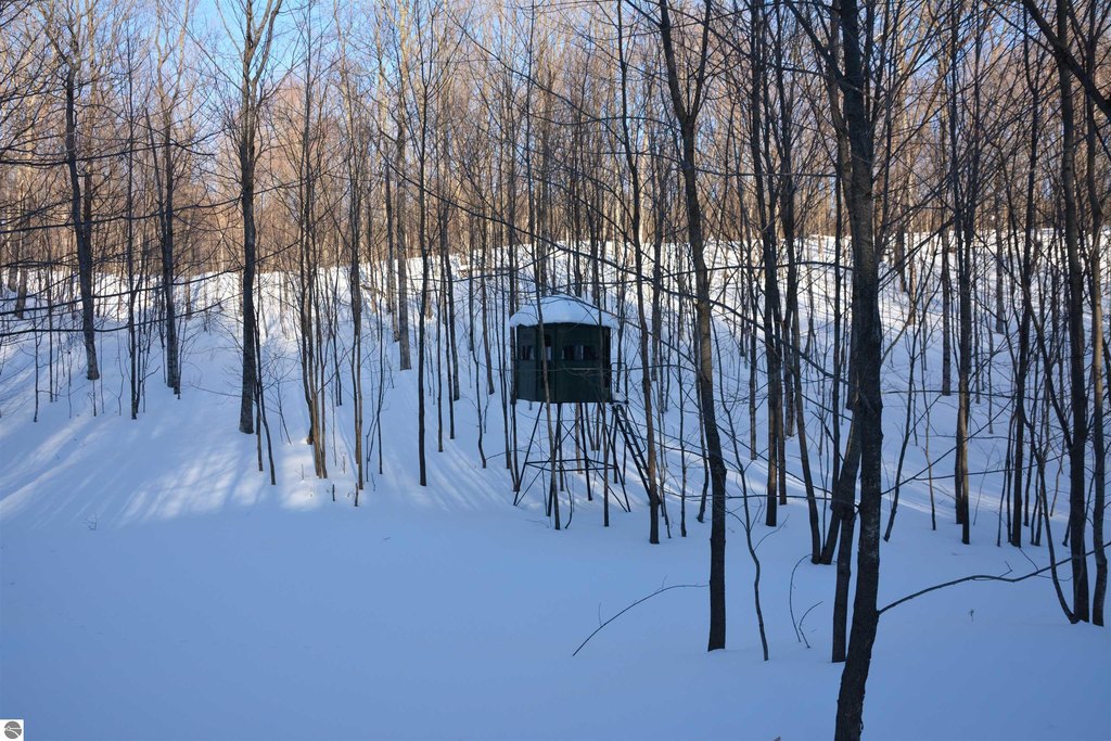 Picture 41