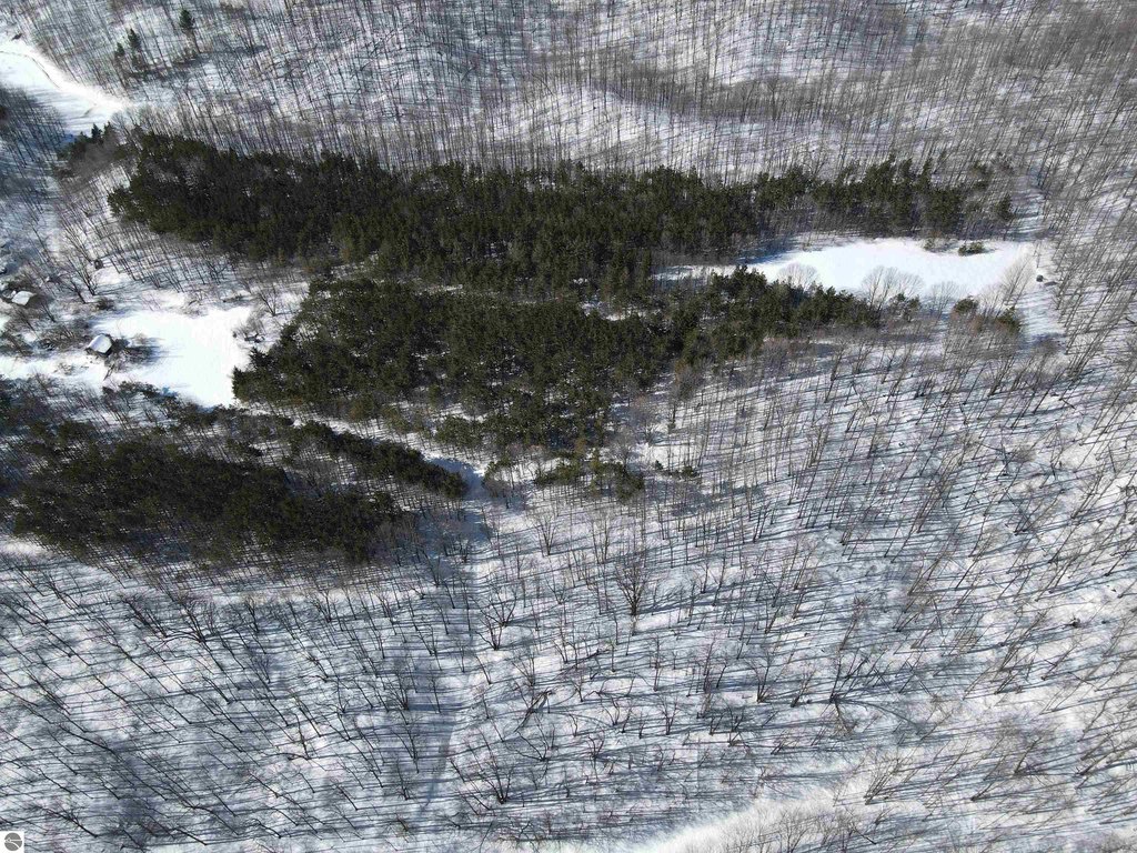 Picture 53