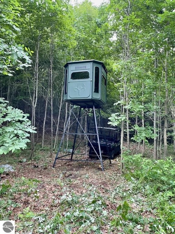 Picture 60