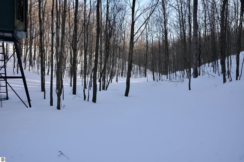 Picture 42