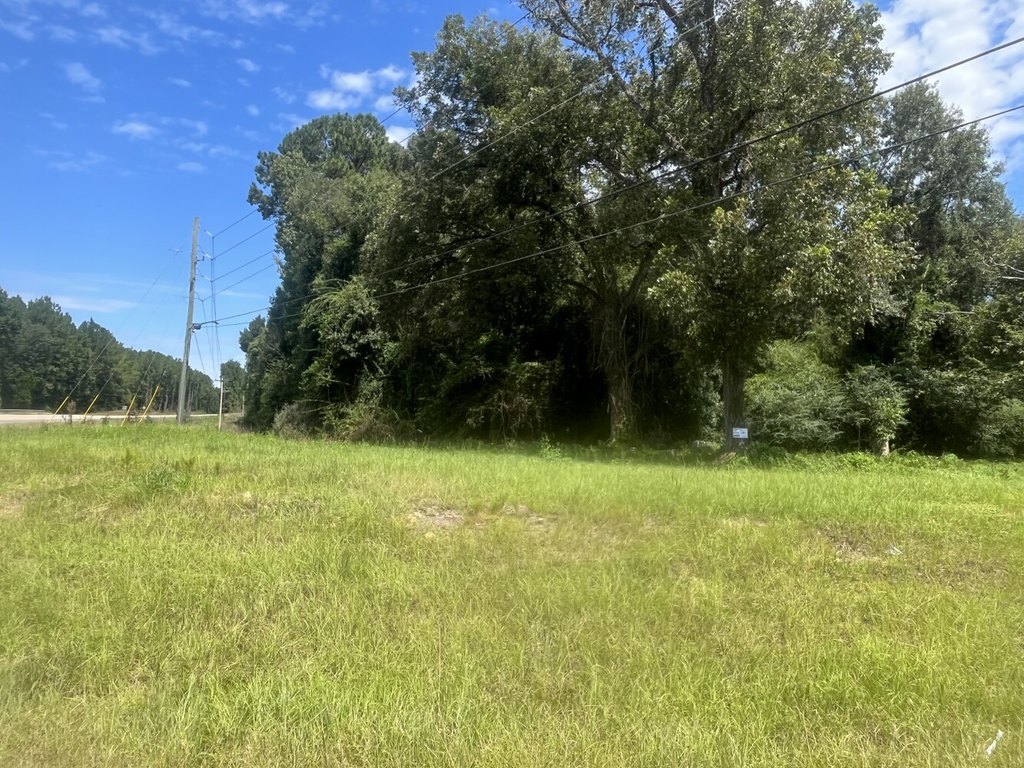 Picture 13
