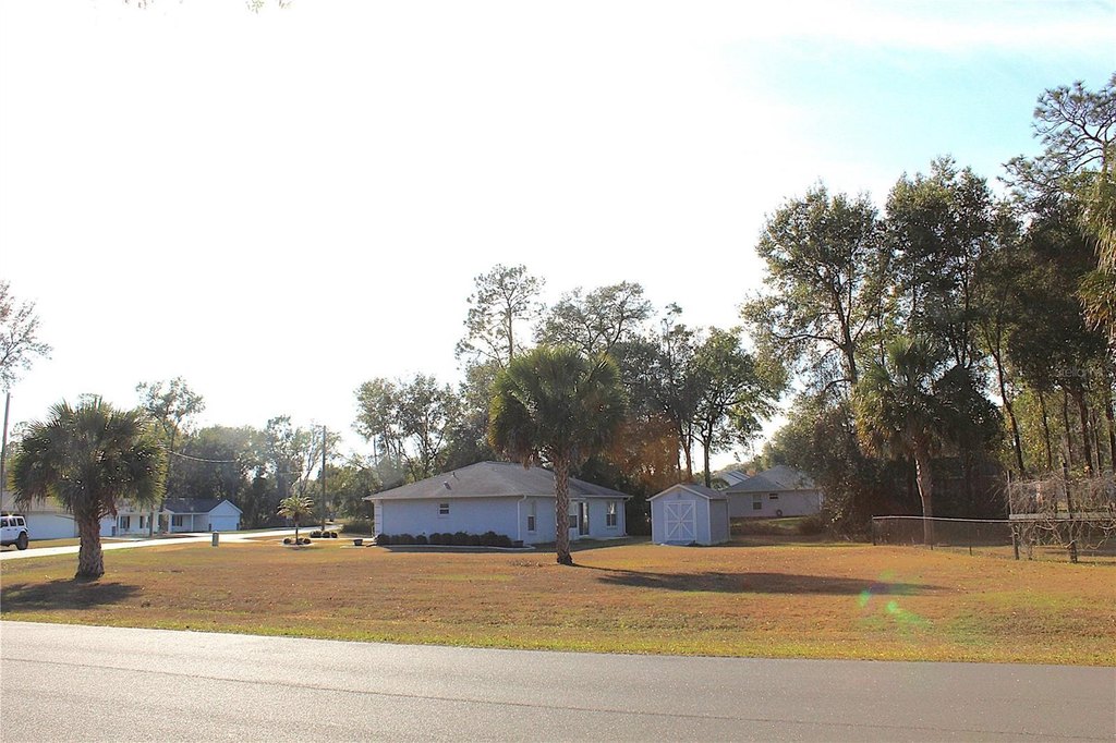 Picture 6