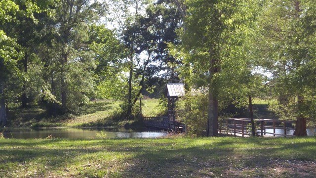 Picture 2