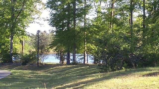 Picture 3
