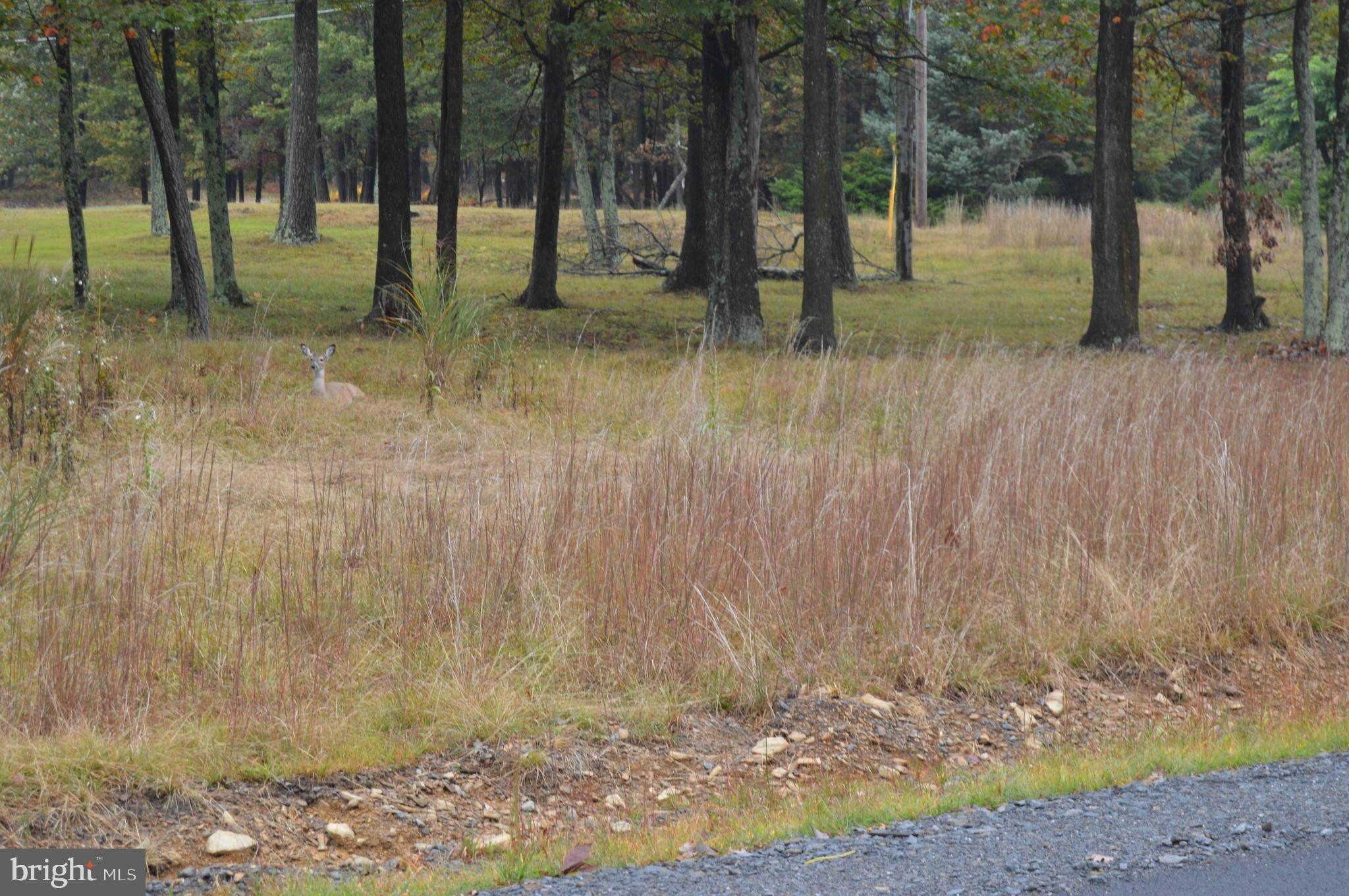 Residential Land in Eagle Rock Resort