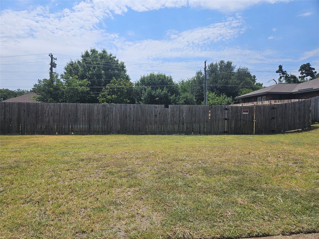 Picture 5