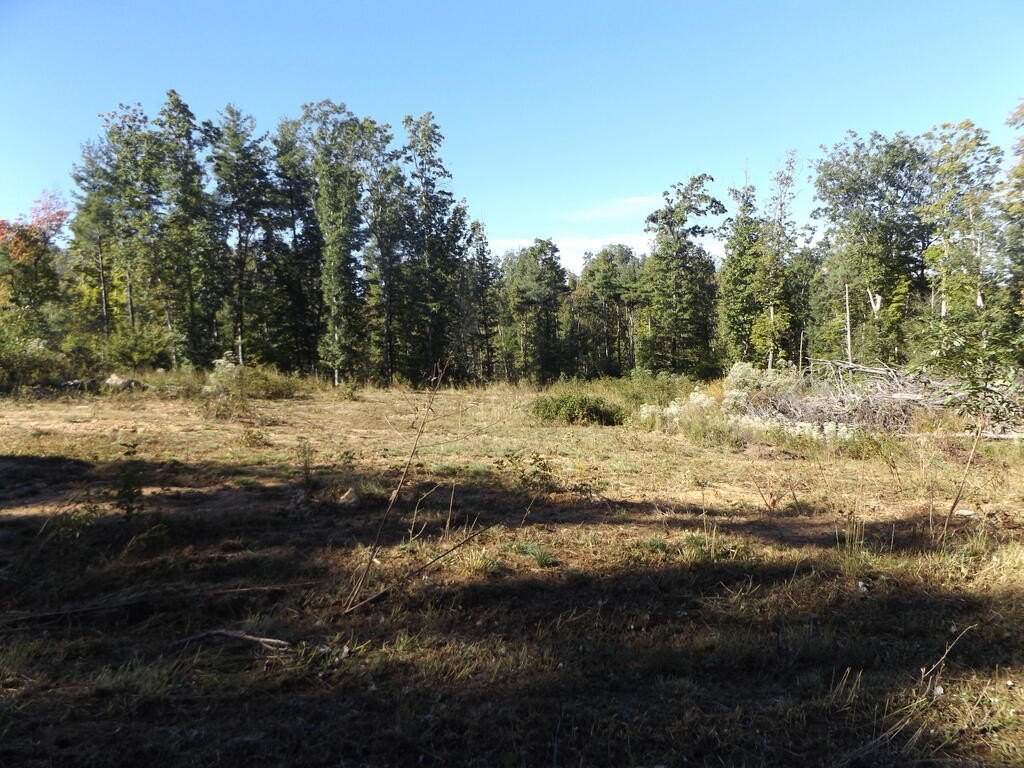 Picture 3