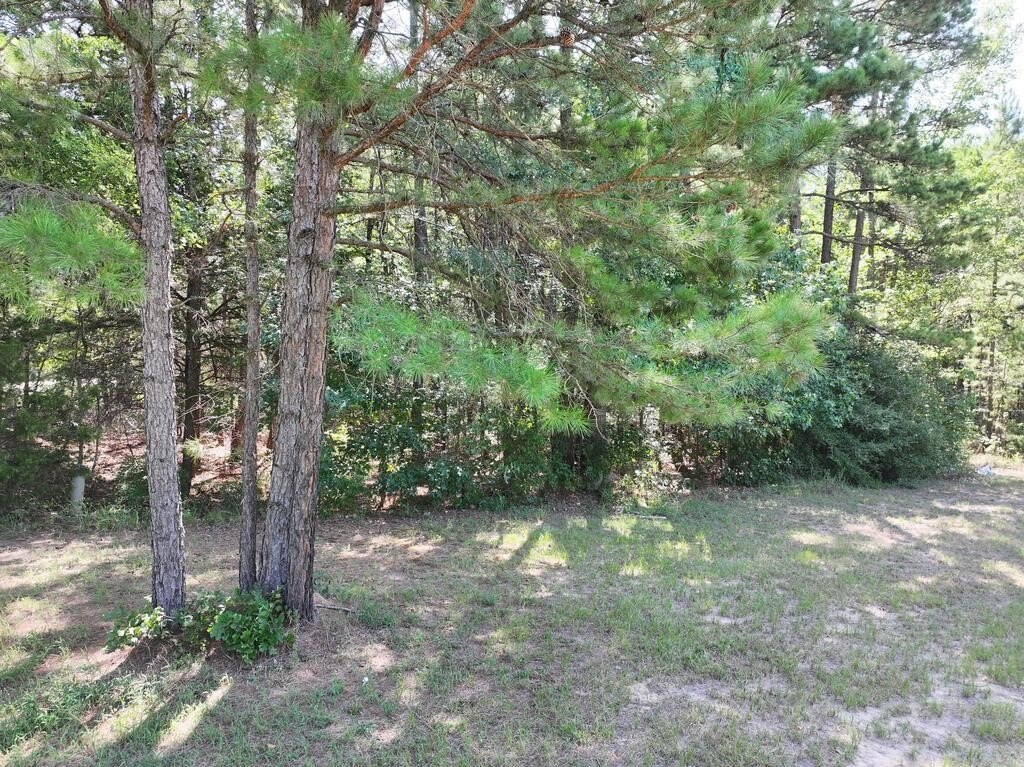 Picture 3
