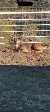 Versatile Land with Remodeled Home