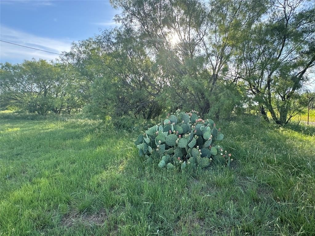 Picture 22