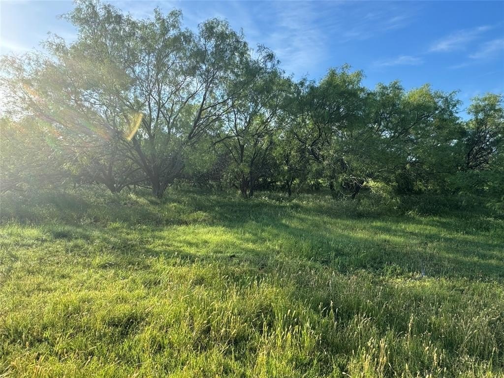 Picture 23
