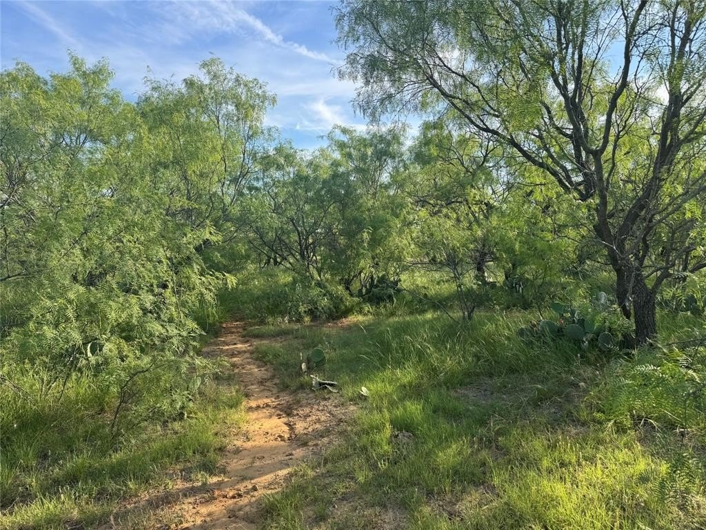 Picture 30