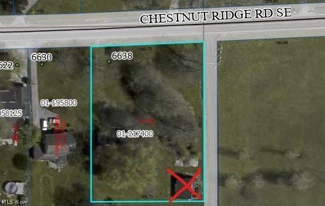 Picture 3