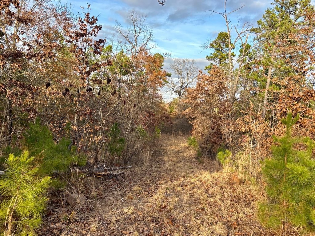 Picture 4