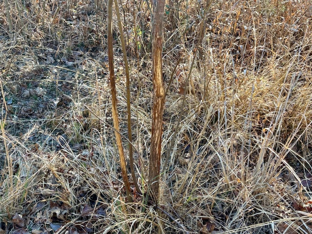 Picture 23