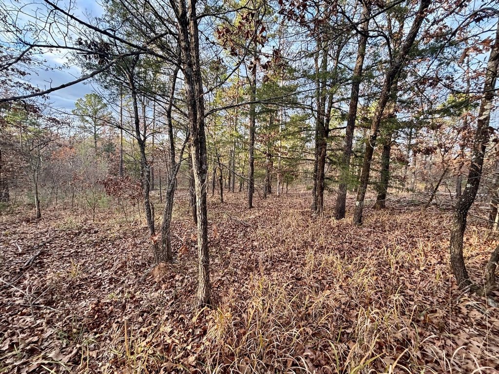 Picture 19