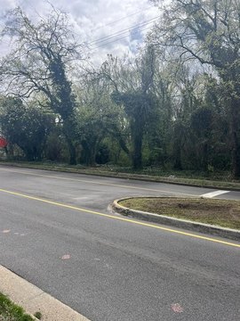 Residential Vacant Lot in Norfolk