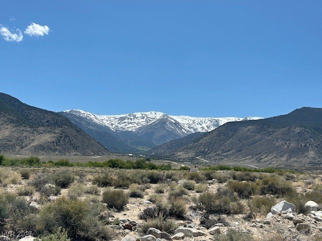 Picture 10