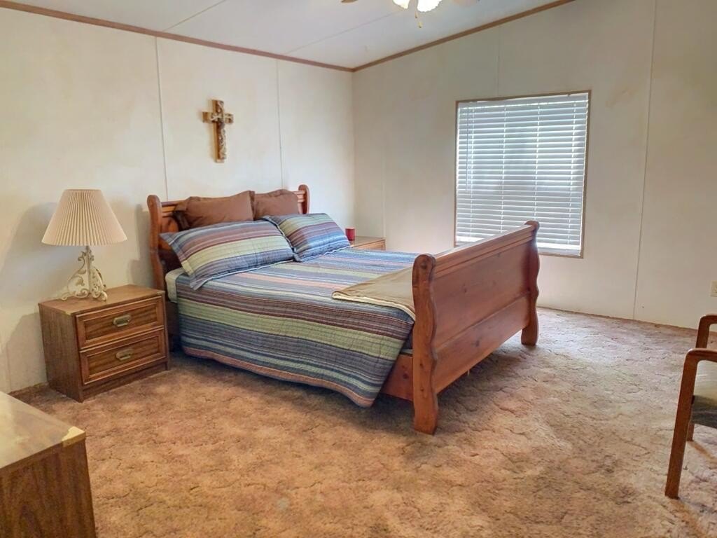 Picture 26