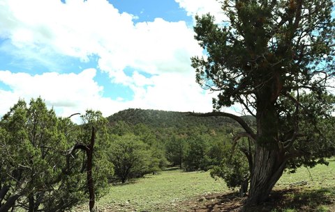 Off-Grid Cul-de-Sac Home Lot