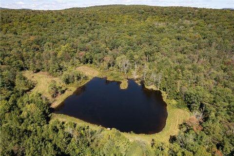 Land, Livingston Manor, NY