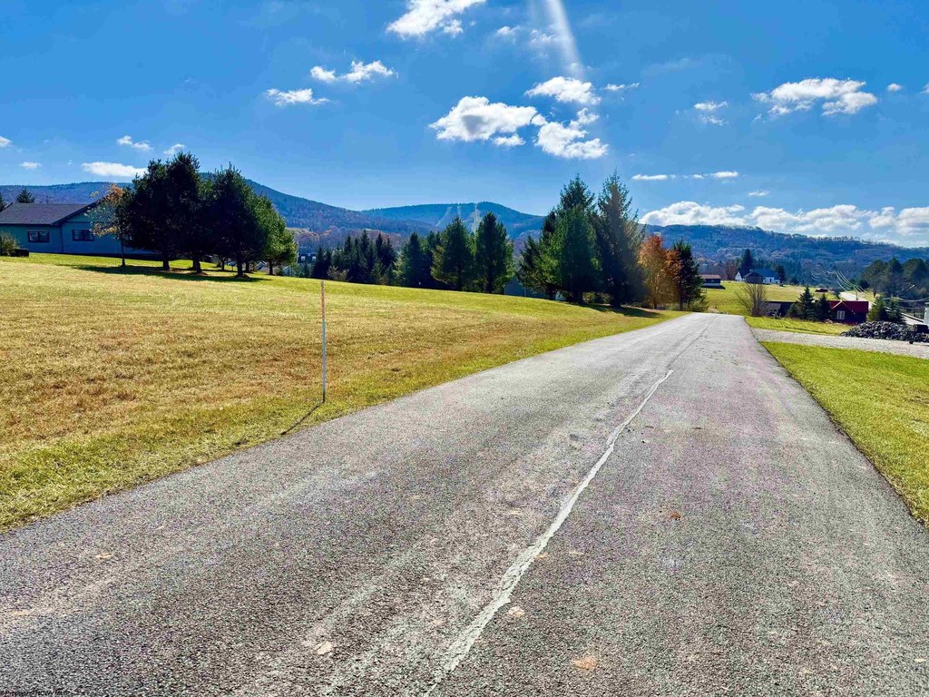 Picture 2