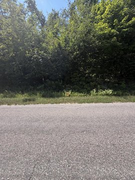 LAND - Gaylord, MI