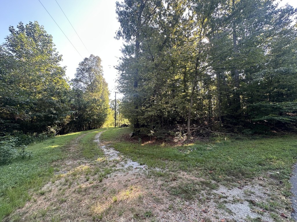 Picture 3