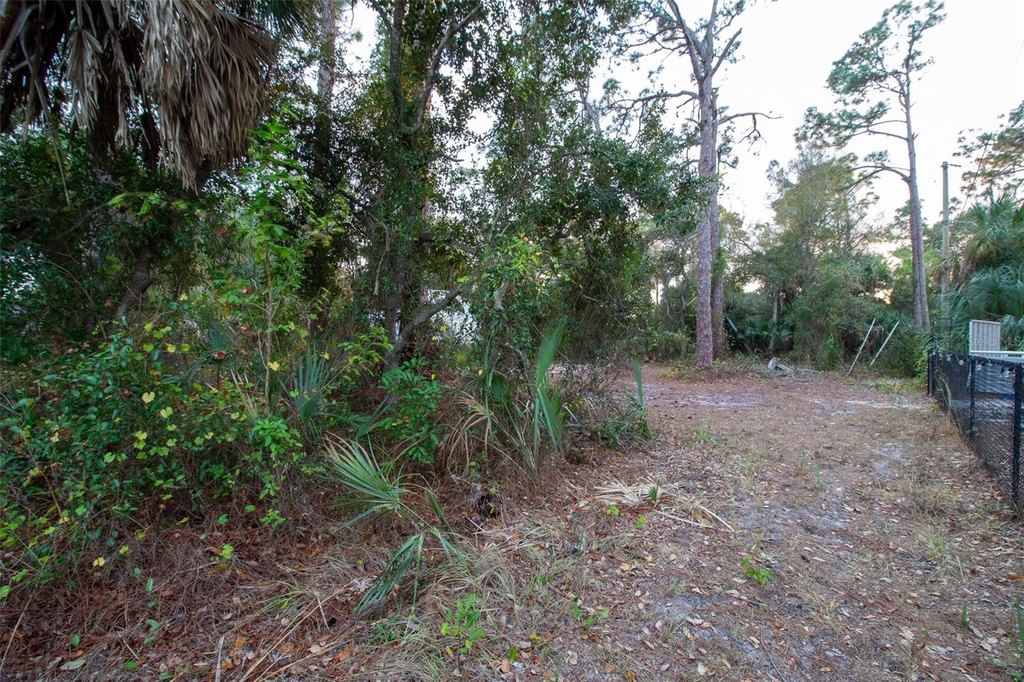 Picture 9