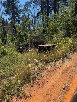 Land/Lot - Berry Creek, CA