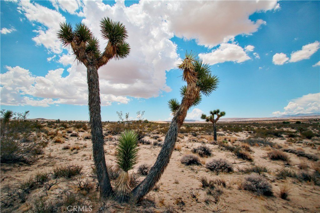 Land in Serene Desert Setting