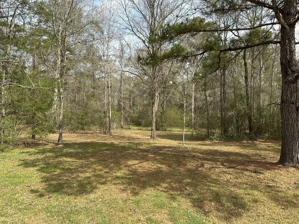 Picture 4