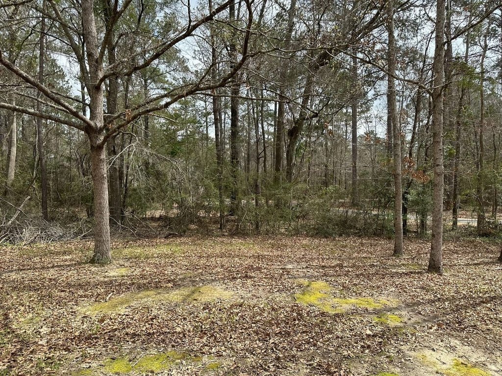 Picture 14