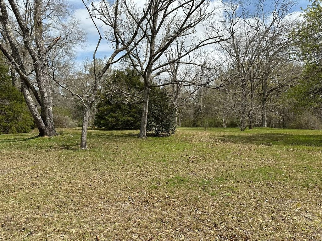 Picture 15