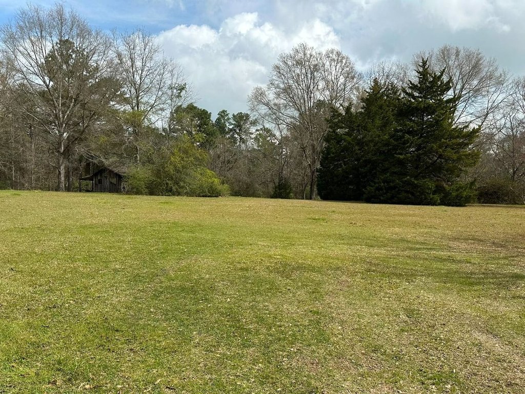 Picture 11