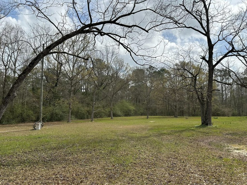 Picture 13