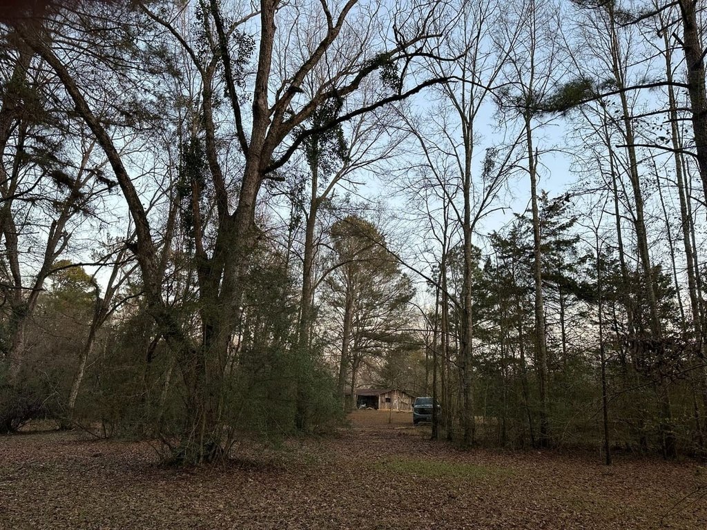 Picture 21