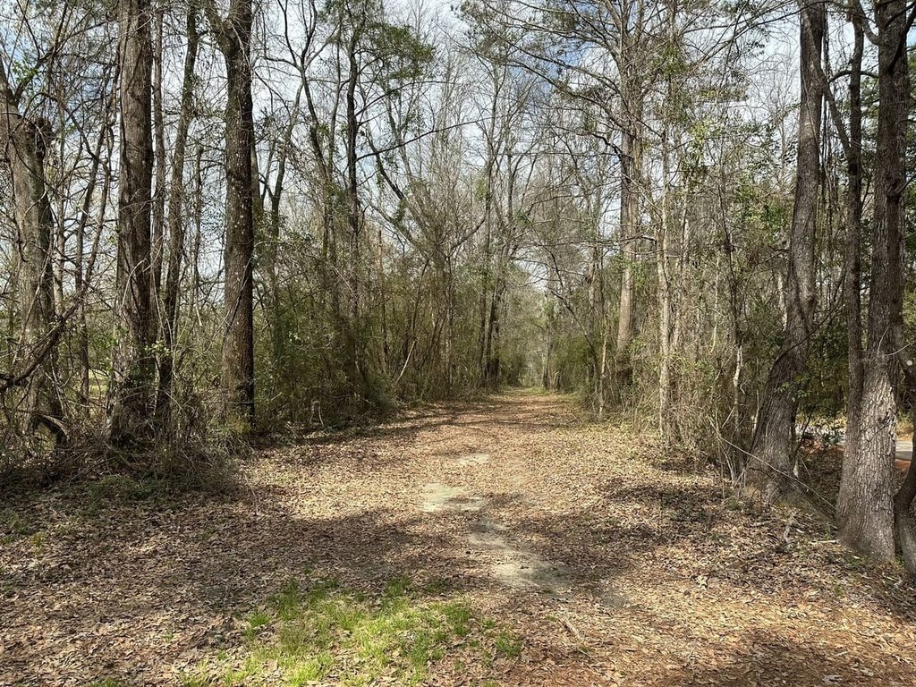 Picture 16