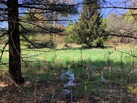 Recreational Land in Fremont, Wisconsin