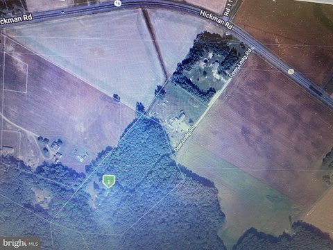 22 Acres Wooded Land