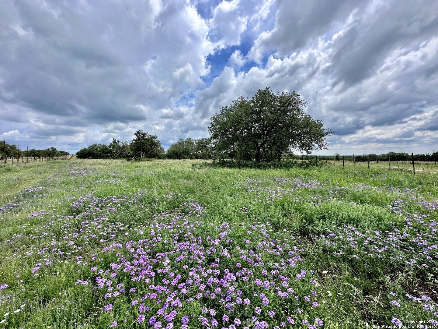 Texas Hill Country Hunting Oasis