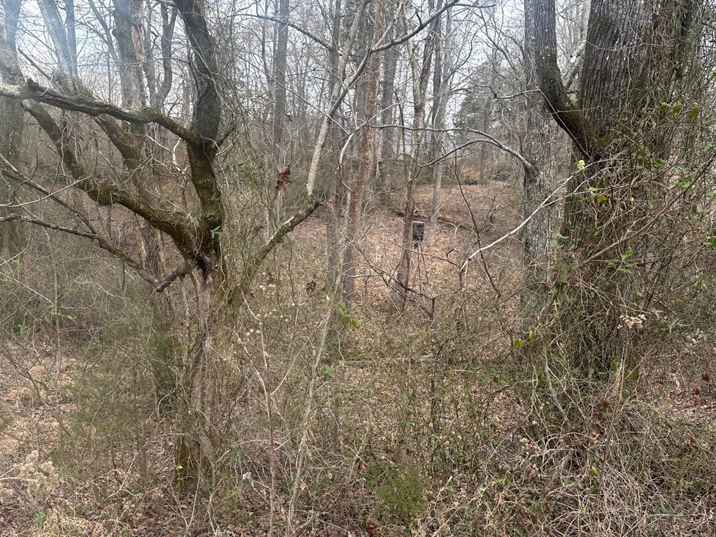 Picture 10